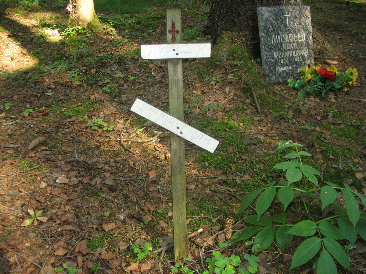 Памятный крест О. К. Козаку. Фото 23.08.2007