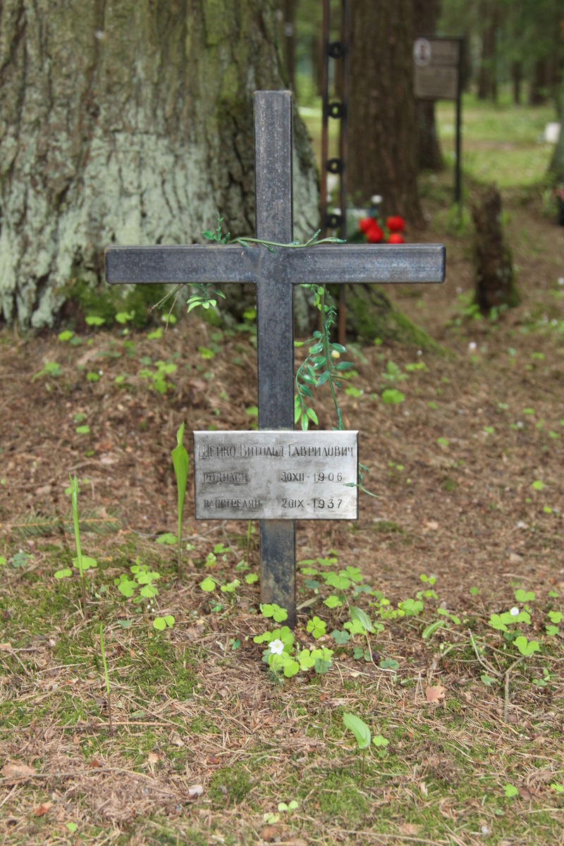 Памятный крест В. Г. Шейко. Фото 18.05.2017