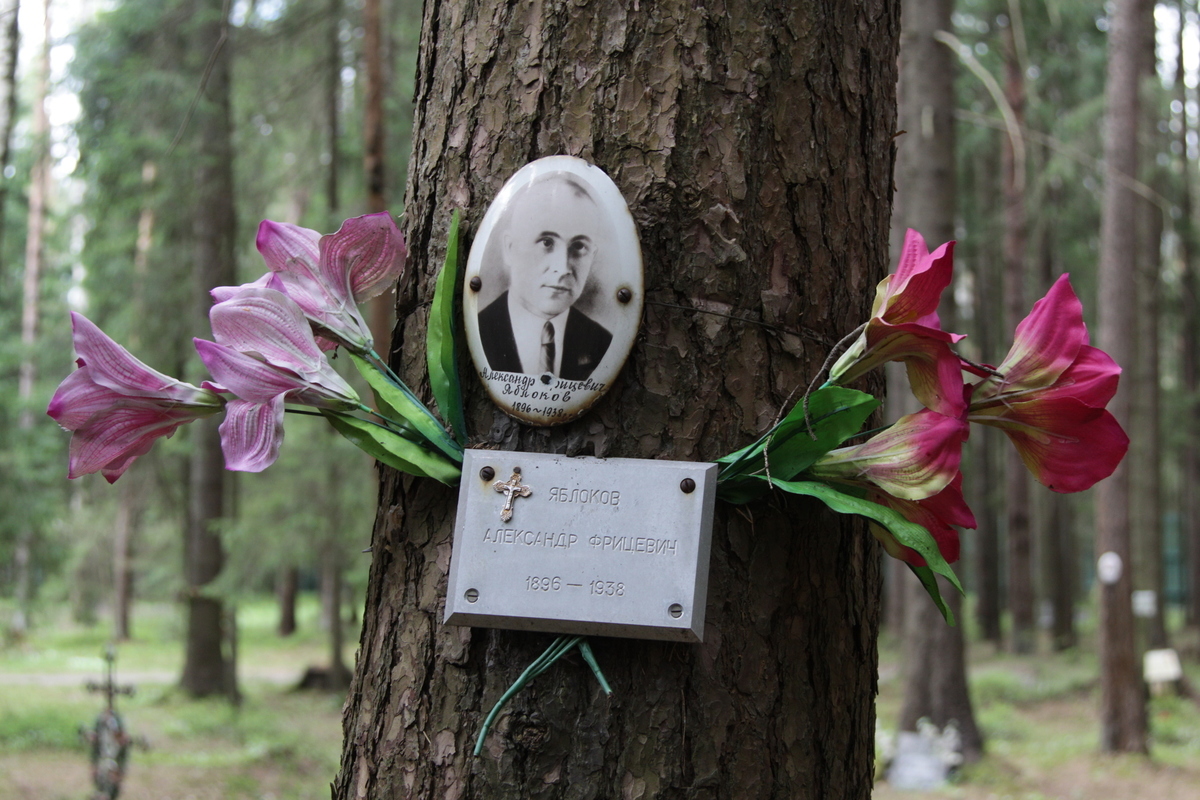 Памятный знак А. Ф. Яблокову. Фото 18.05.2017