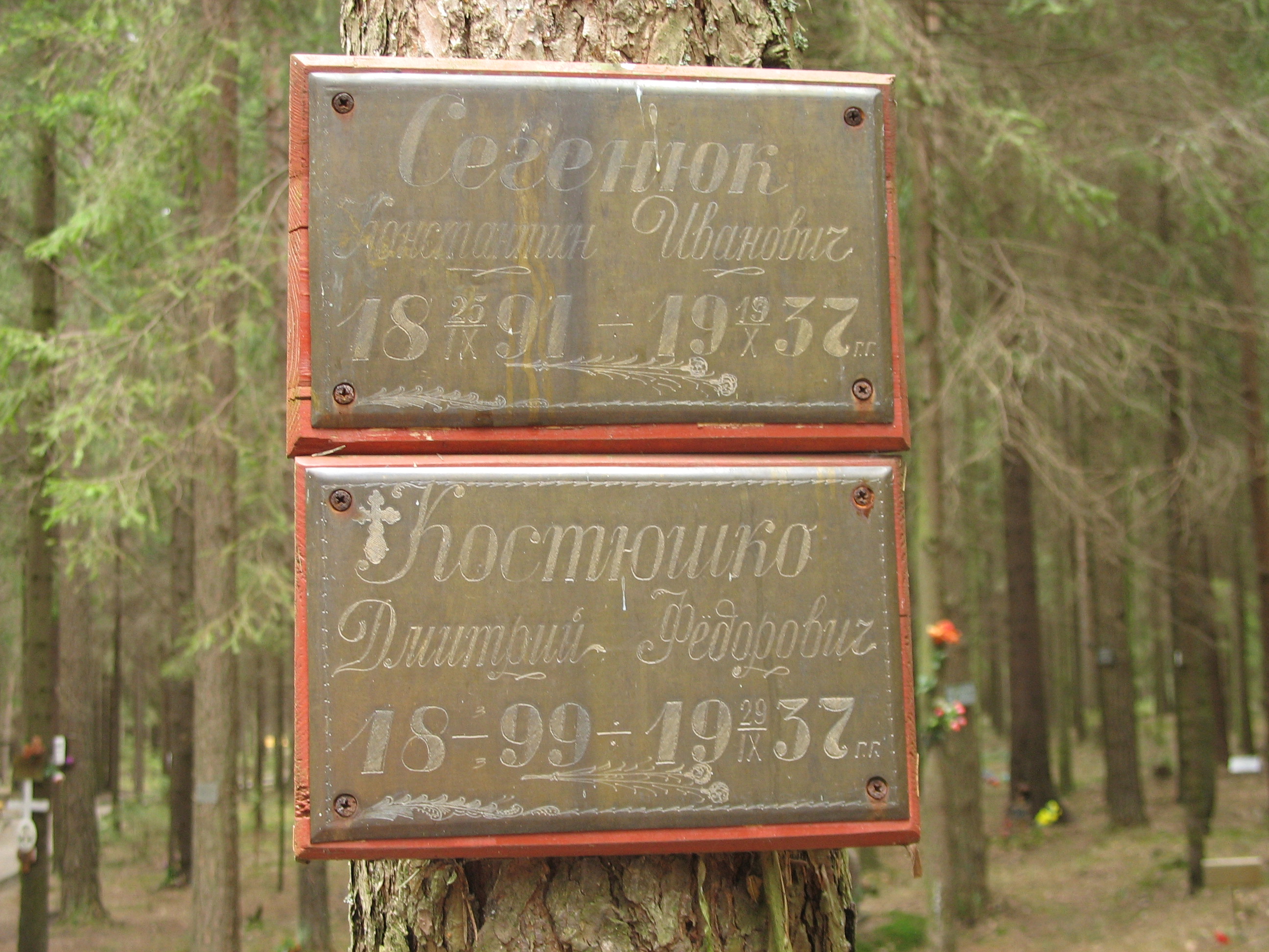 Памятная табличка К. И. Сегенюку. Фото 22.04.2007