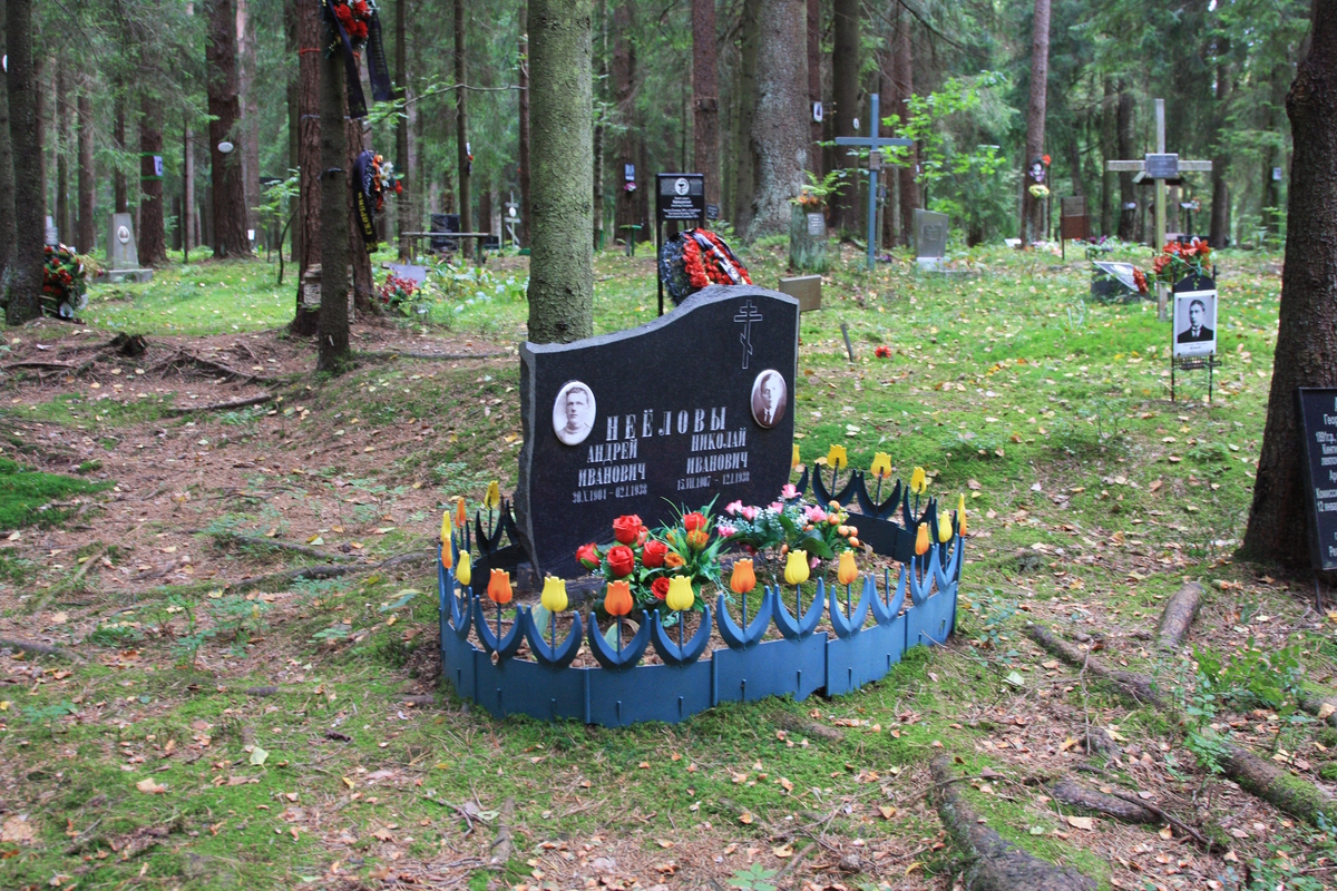 Символическое надгробие А. И. и Н. И. Нееловых. Фото 02.09.2017