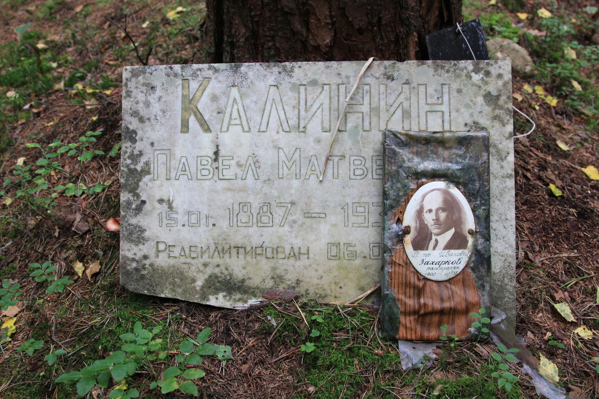 Памятная табличка П. М. Калинину. Фото 02.09.2017