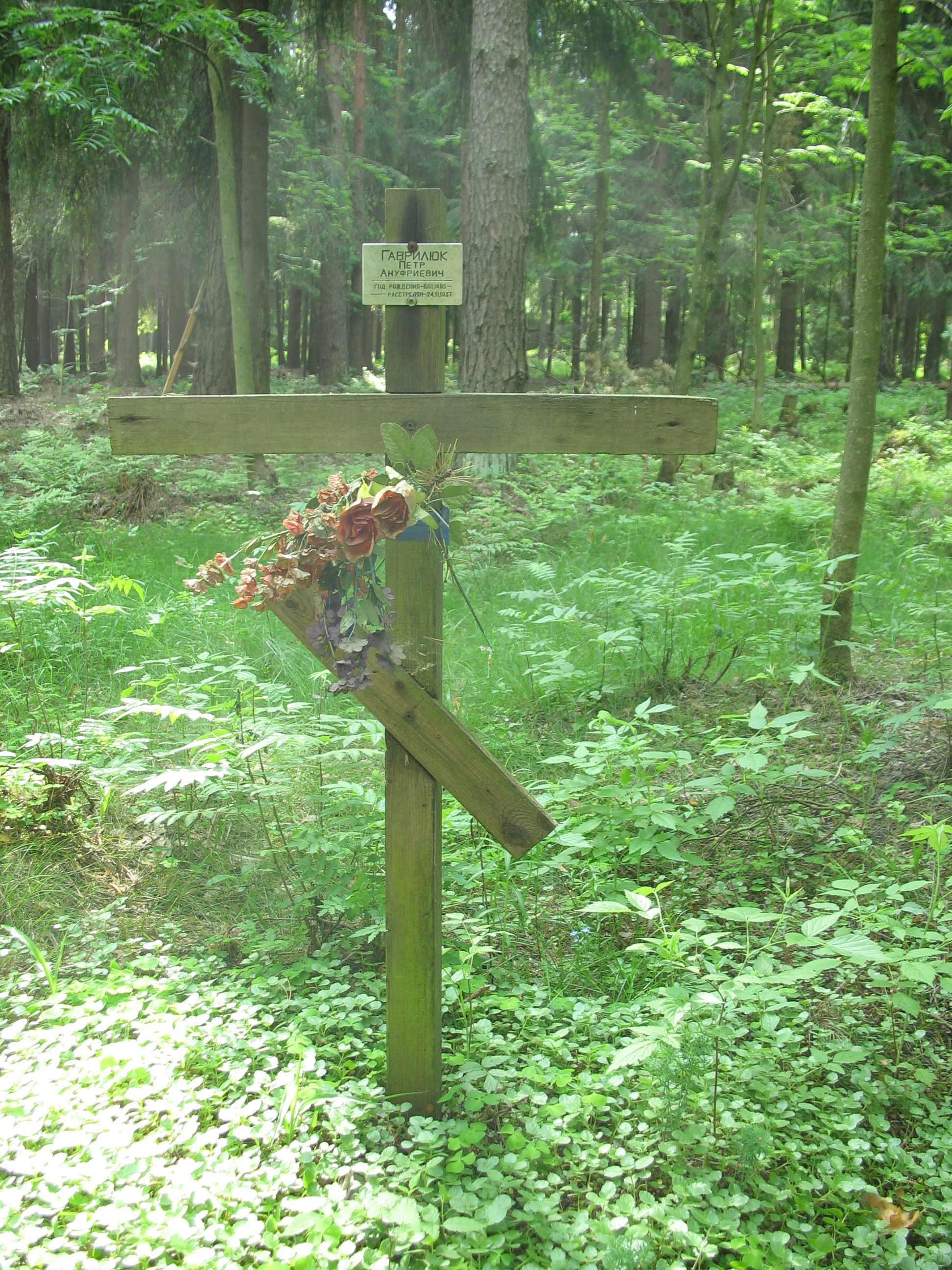 Памятный крест П. А. Гаврилюку. Фото 06.06.2007