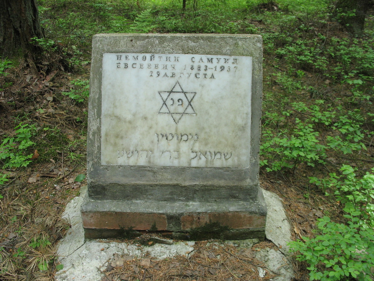 Символическое надгробие С. Е. Немойтина. Фото 06.06.2007
