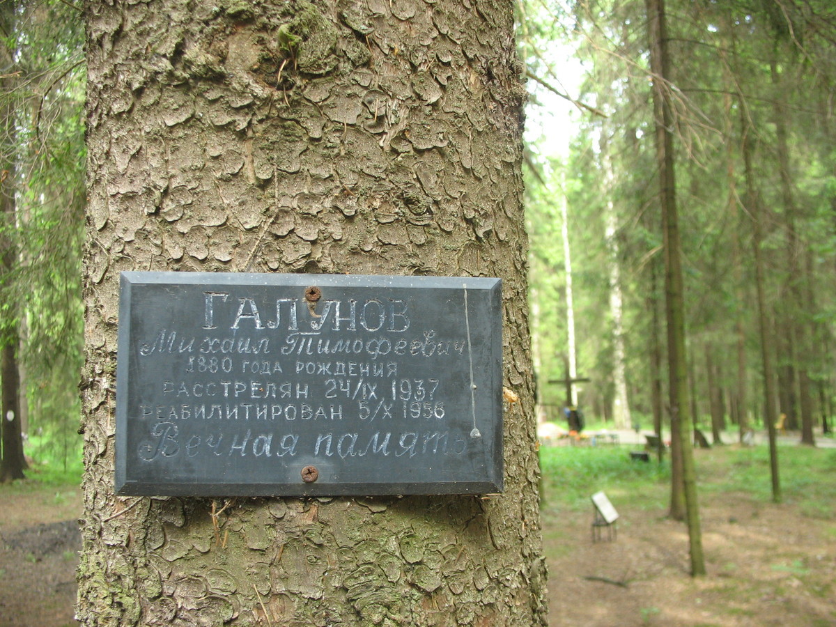 Памятная табличка М. Т. Галунову. Фото 06.06.2007