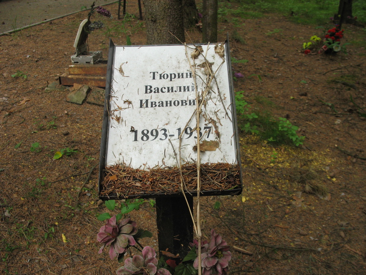 Памятный знак В. И. Тюрину. Фото 06.06.2007