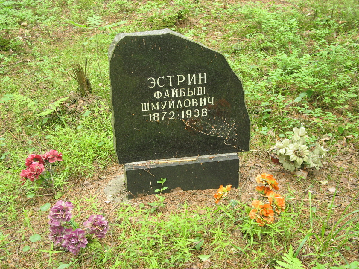 Символическое надгробие Ф. Ш. Эстрина. Фото 15.06.2007