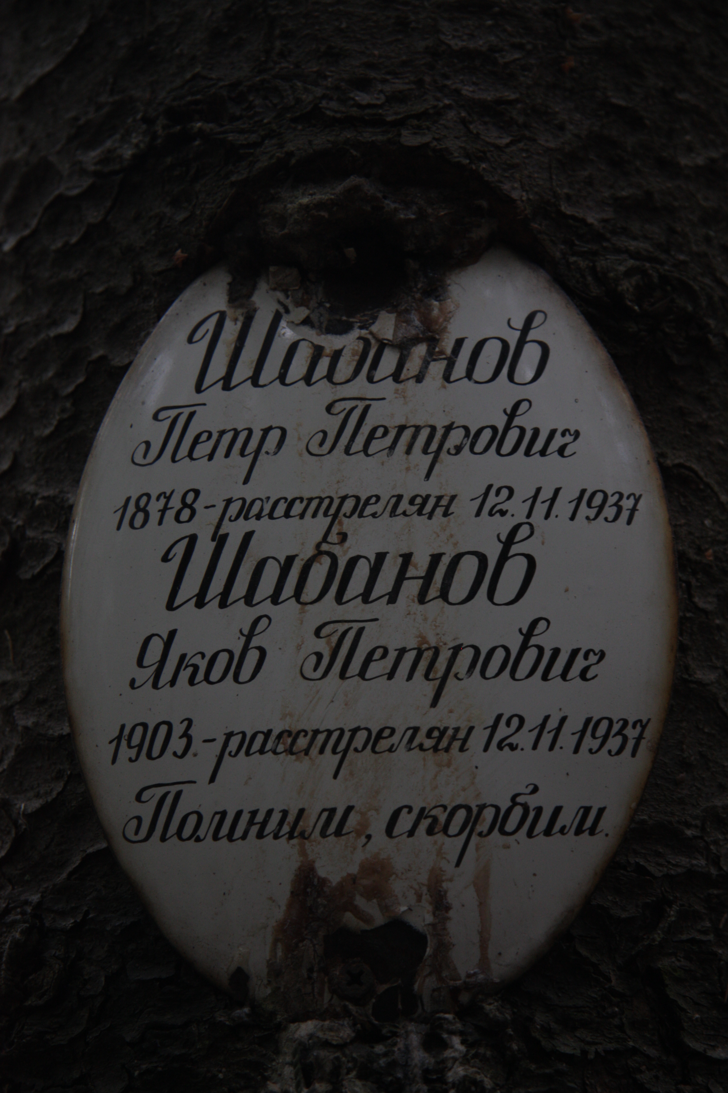 Памятная табличка П. П. и Я. П. Шабановым. Фото 18.05.2017