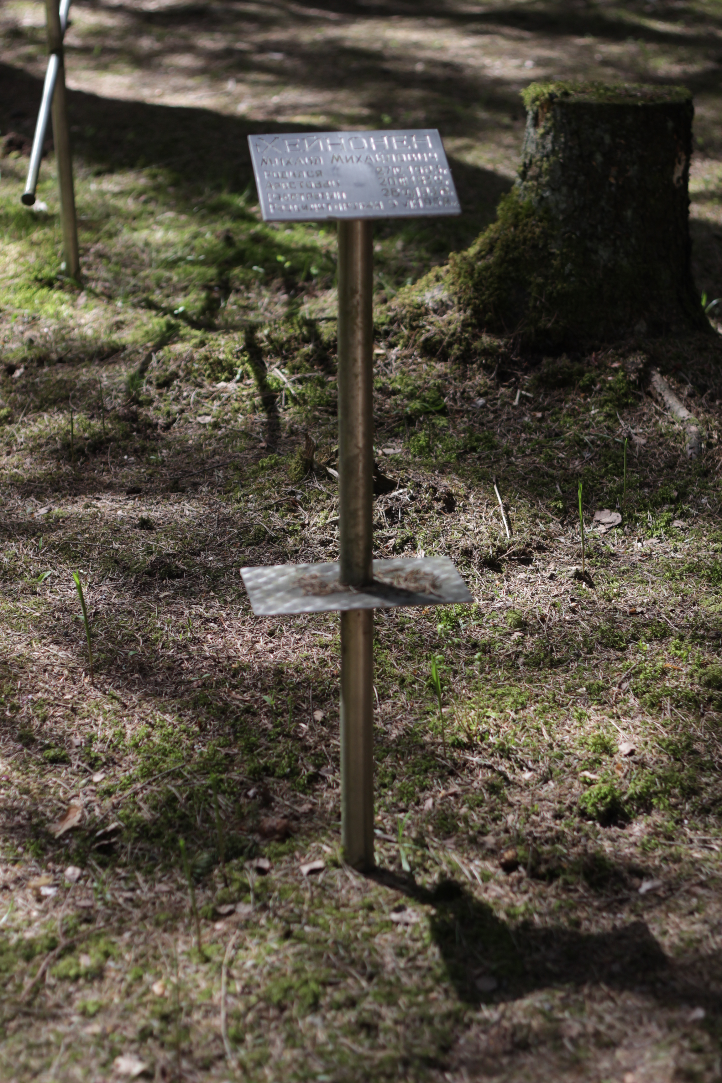 Памятная табличка М. М. Хейнонену. Фото 27.05.2017