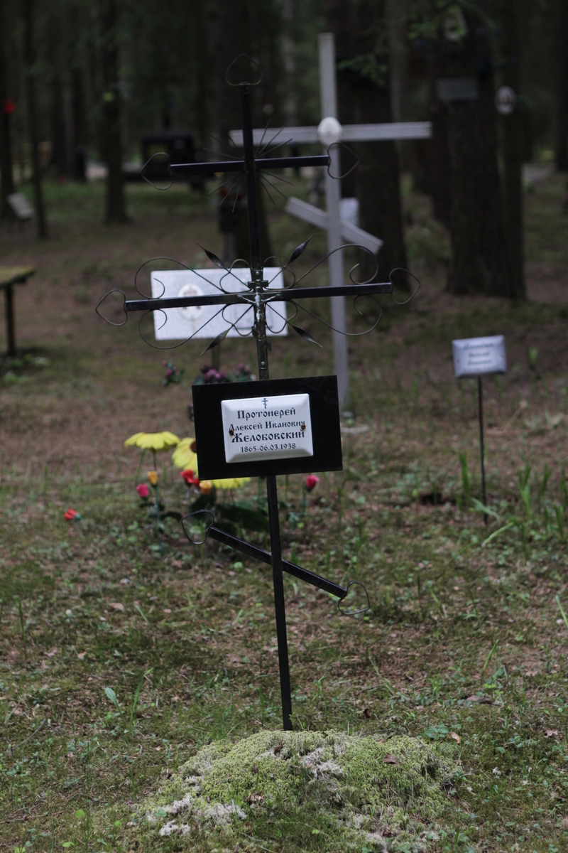 Памятный крест А. И. Желобовскому. Фото 05.06.2017