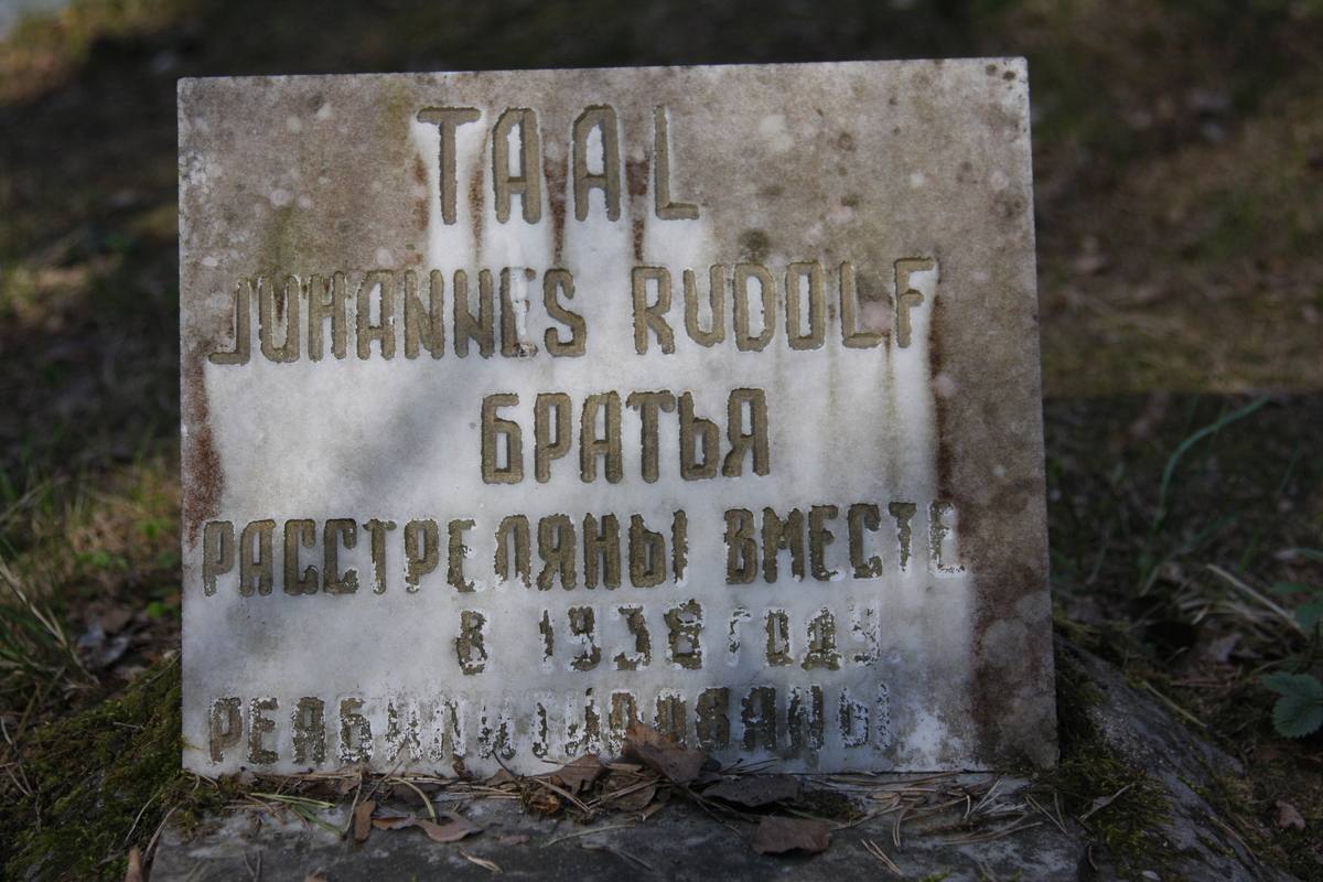 Символическое надгробие И. М. и Р. М. Тааль. Фото 18.05.2017