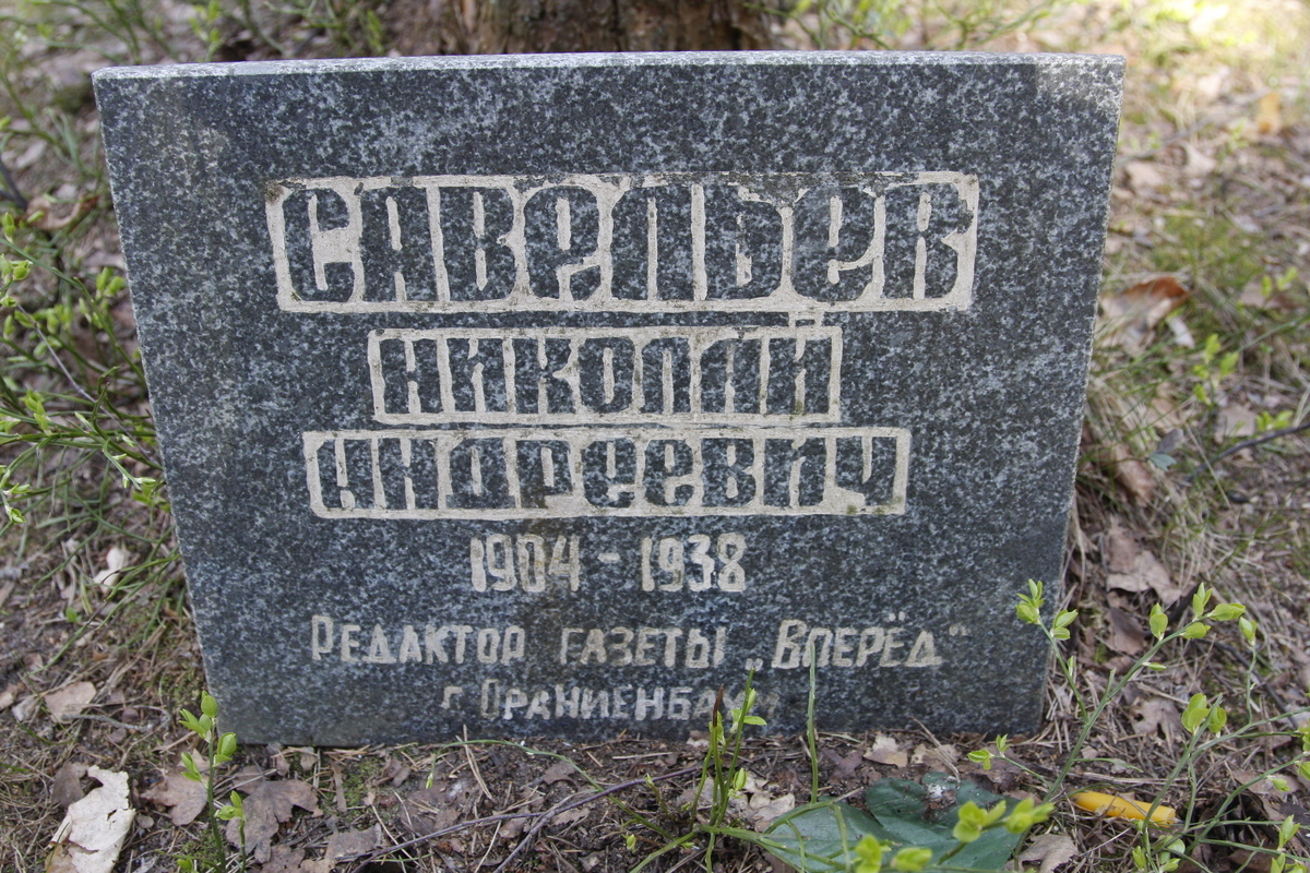 Символическое надгробие Н. А. Савельева. Фото 18.05.2017