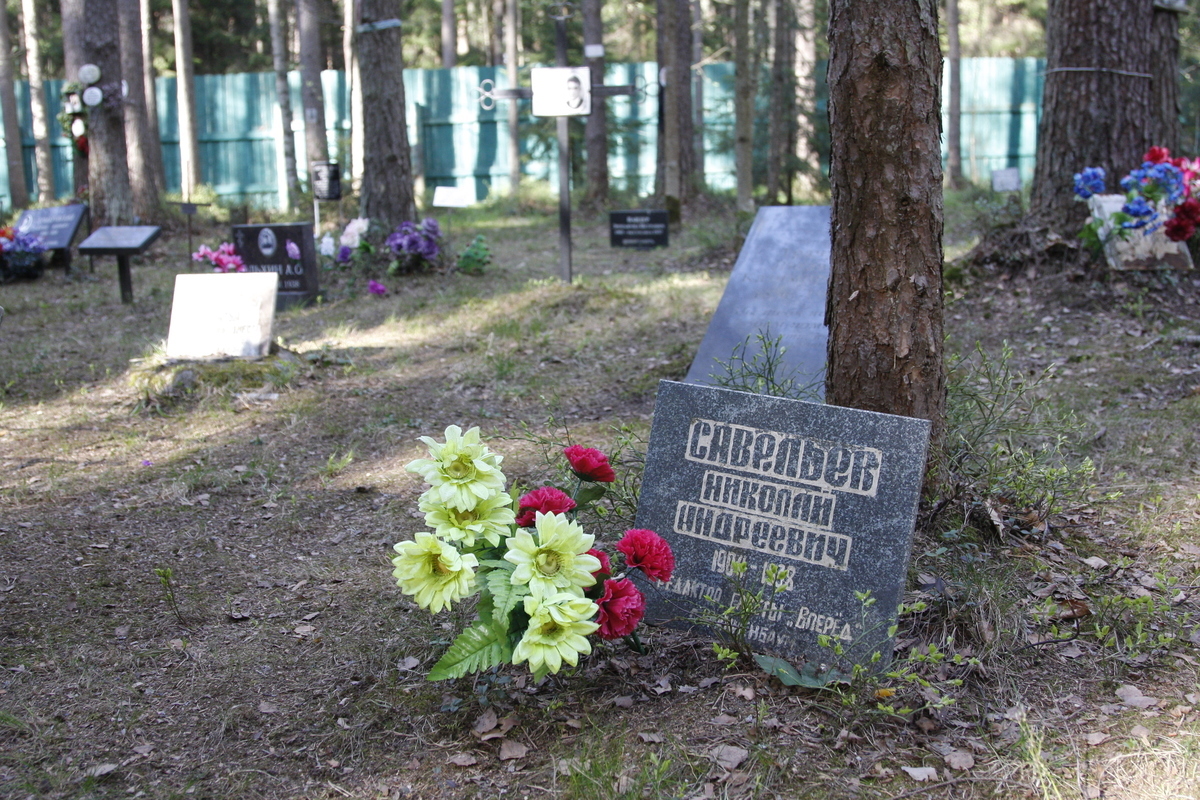 Символическое надгробие Н. А. Савельева. Фото 18.05.2017