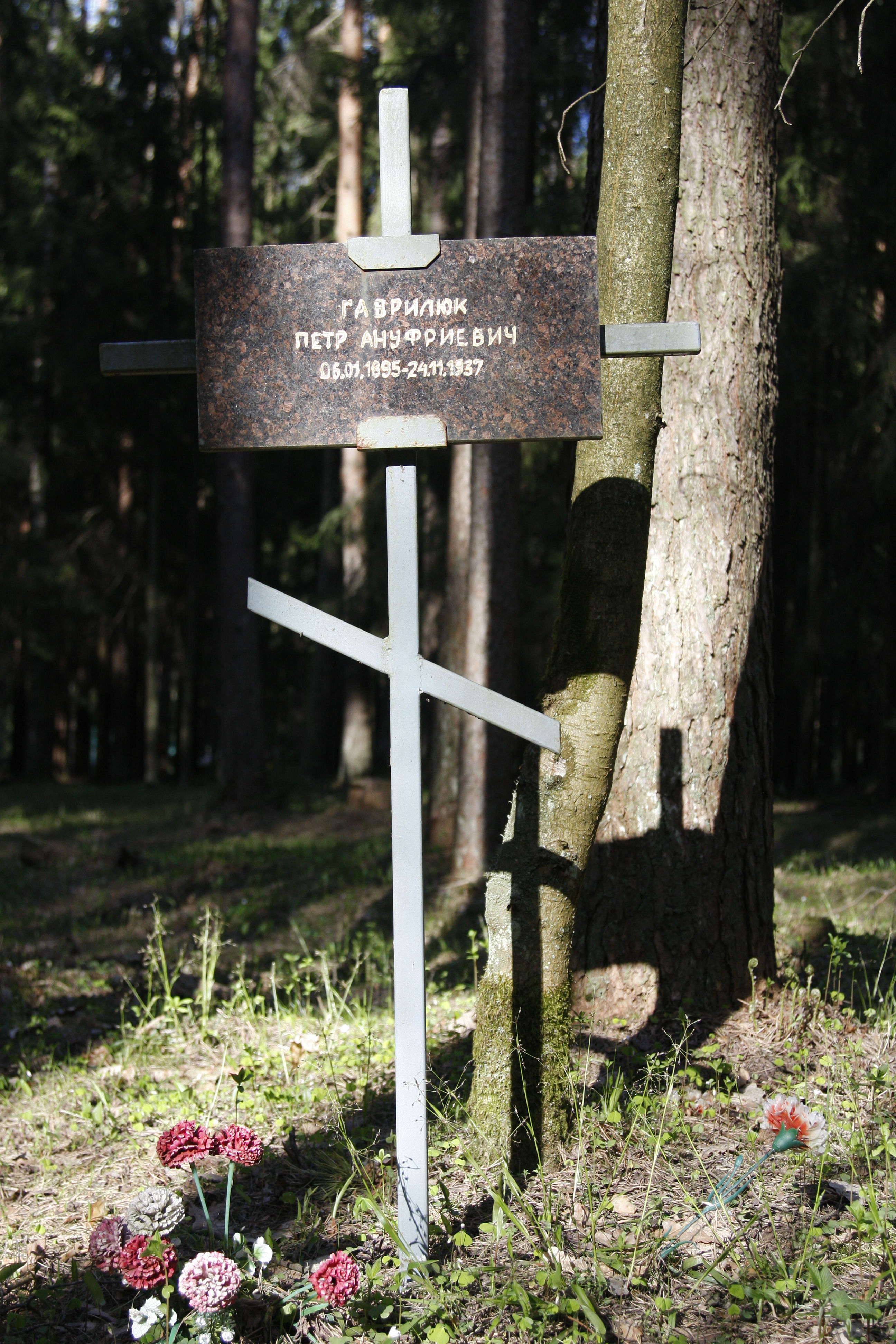 Памятный крест П. А. Гаврилюку. Фото 18.05.2017