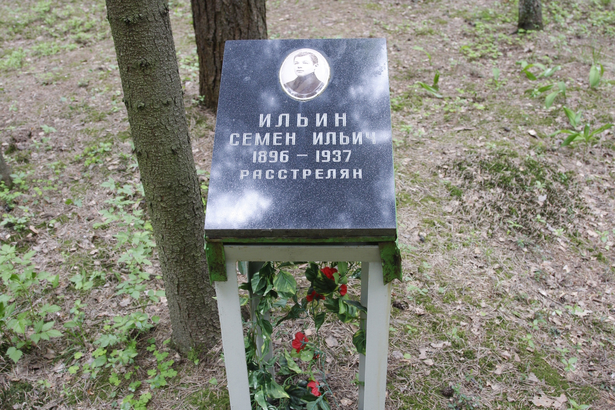 Памятный знак С. И. Ильину. Фото 05.06.2017