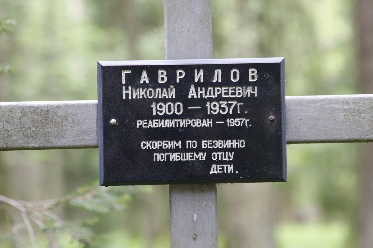 Памятный крест Н. А. Гаврилову. Фото 05.06.2017