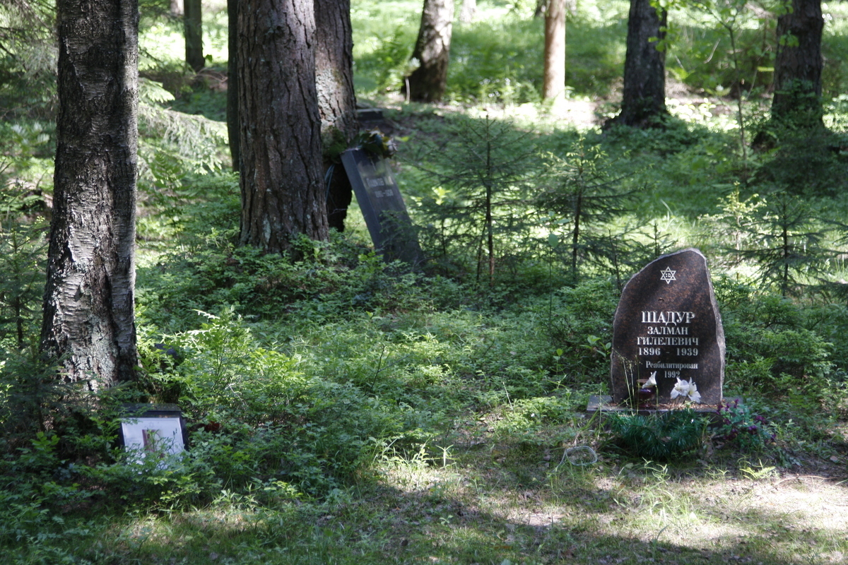 Символическое надгробие З. Г. Шадура. Фото 27.05.2017